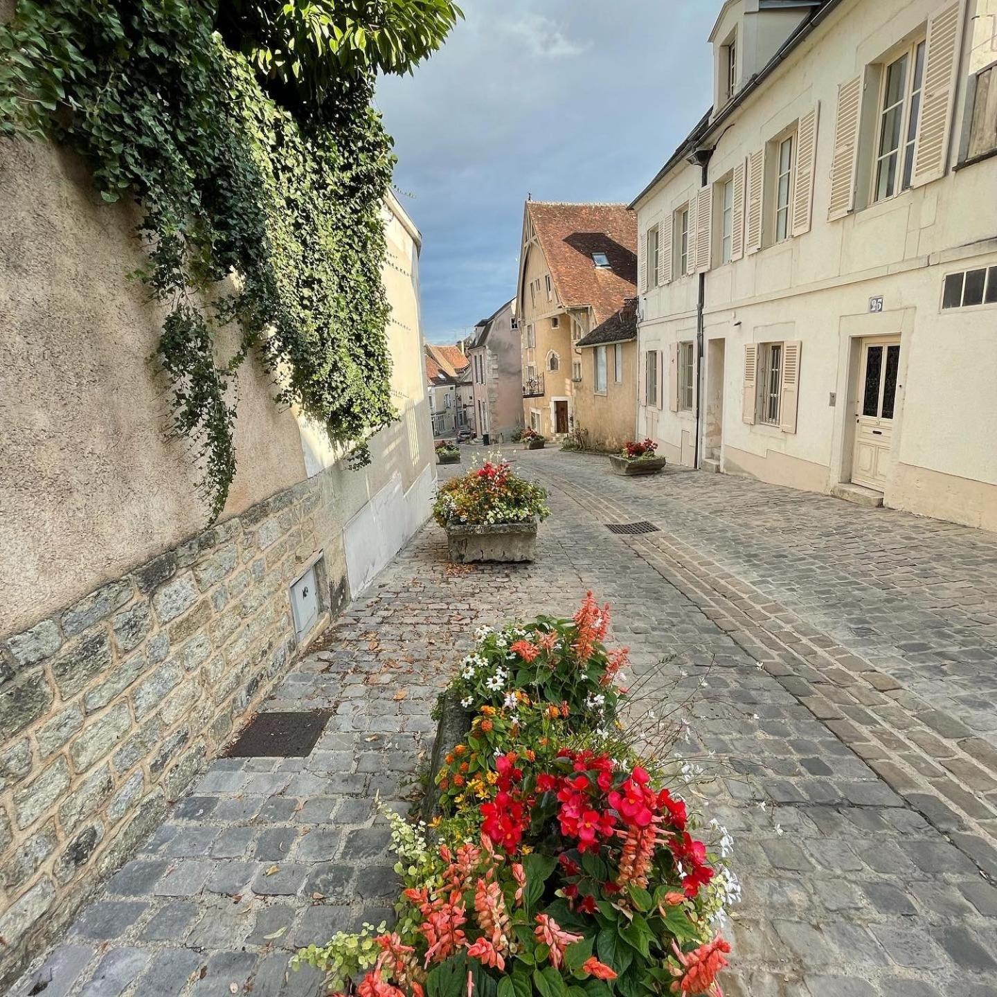 Le Pigeonnier Centre Historique Auxerre Lägenhet Exteriör bild